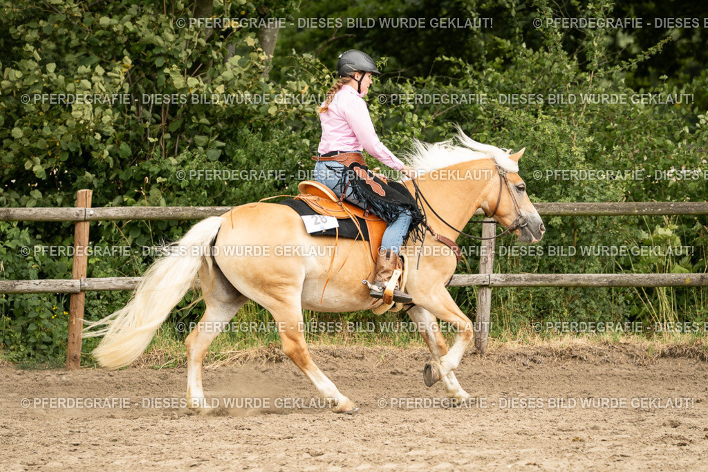 DSC00752 | Pferdegrafie