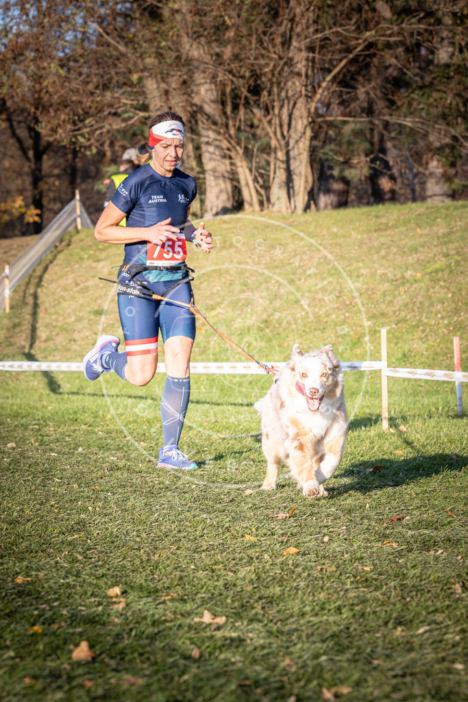 CaniXpix_0L8A0039 | Hundefotografie, Tierfotograf, Pfotenfotografie, Fotoshooting Hund, Hunde Portrait, Hundesport, Hundeportraits, Heideshooting, Hunde, Sportfotograf, Hundefotograf, Turnierhundsport, THS,  - Realisiert mit Pictrs.com