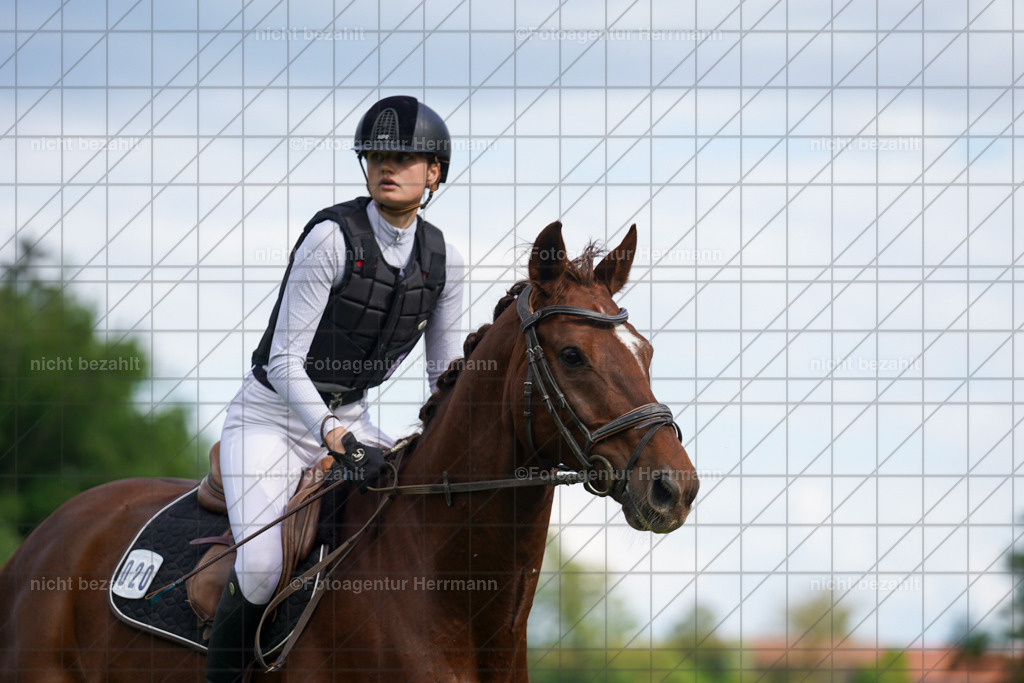 20240518-FAH04072 | Turnierbilder von Niederseon, Turnierfotografen Bayern, Fotoagentur Herrmann, Geländebilder, Reitsportfotografie