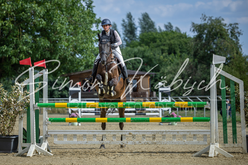 20260704-_3LI2071 | Tierfotografie Pferde, Hunde, Katzen, Haustiere.
Turnierfotografie Reitturniere, Reiten, Springreiten, Dressur in Hanau, dem Main-Kinzig-Kreis und dem Rhein-Main- Gebiet um Frankfurt