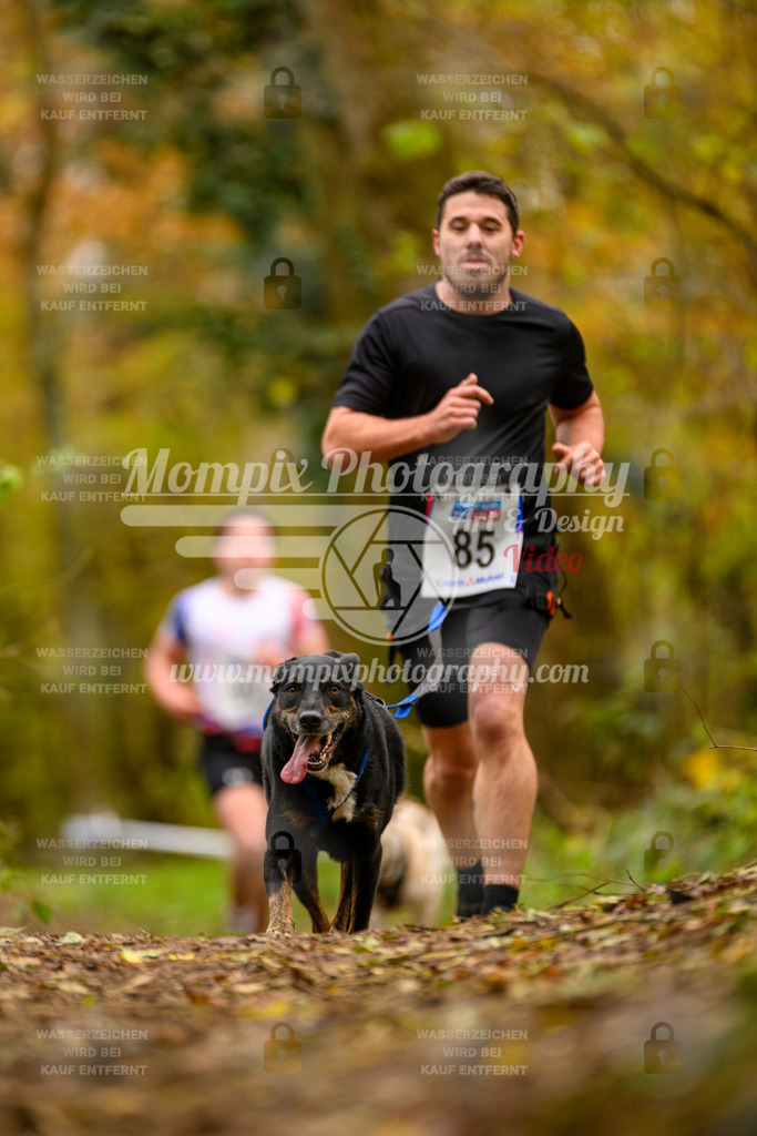MompixPhotography_Bischwiller24_SA_Canicross-123 | PayLife