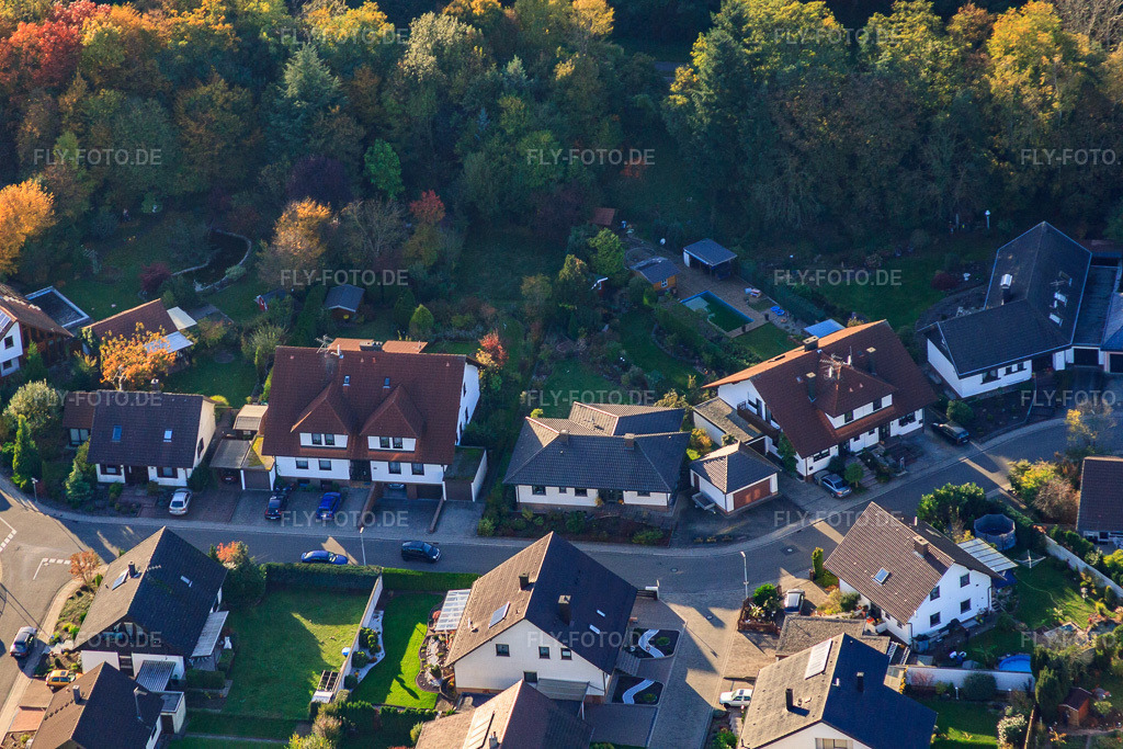Luftbild: Südring in Rülzheim im Bundesland Rheinland-Pfalz in Deutschland. Foto: IMG_60455.jpg vom 24.10.2013 durch Werner Riehm/FLY-FOTO.de