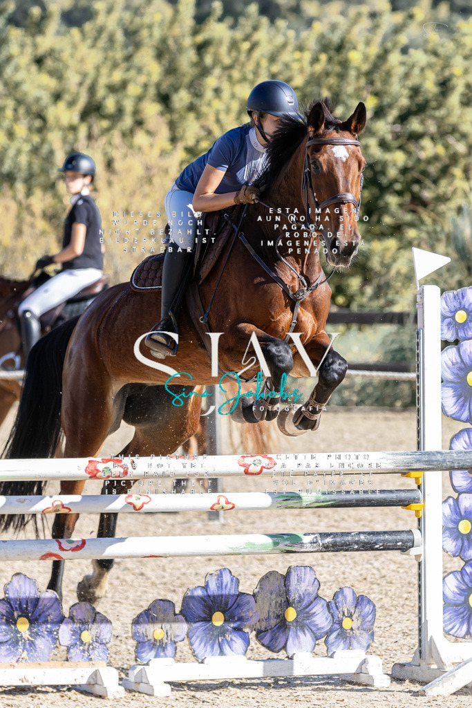 IMG_0774 | s-jay-photography - Realisiert mit Pictrs.com