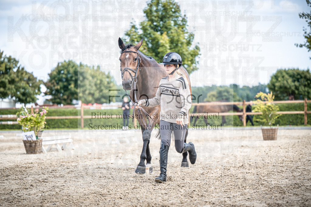 DOS_1960 | Entdecke hochwertige Reitturnierfotos von Foto Oger. Professionell, emotional und authentisch – jetzt Lieblingsmomente im Shop bestellen.Deutschlandweite Turnierfotografie. - Realisiert mit Pictrs.com