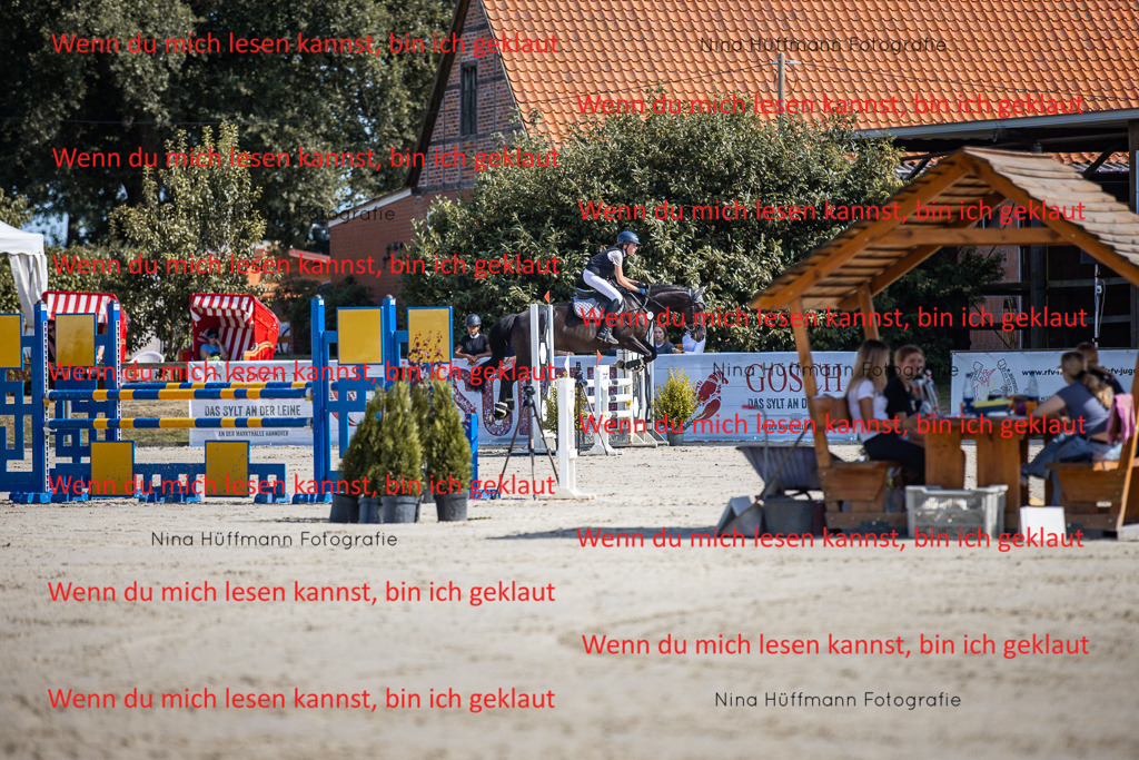 BK1A7013 | Turnierbilder Turnierfotos Nina Hüffmann Turnierfotografie Pferdefotografie Tierzeichnung Haustierzeichnung Pferdezeichnung Hundezeichnung Videograf  - Realisiert mit Pictrs.com