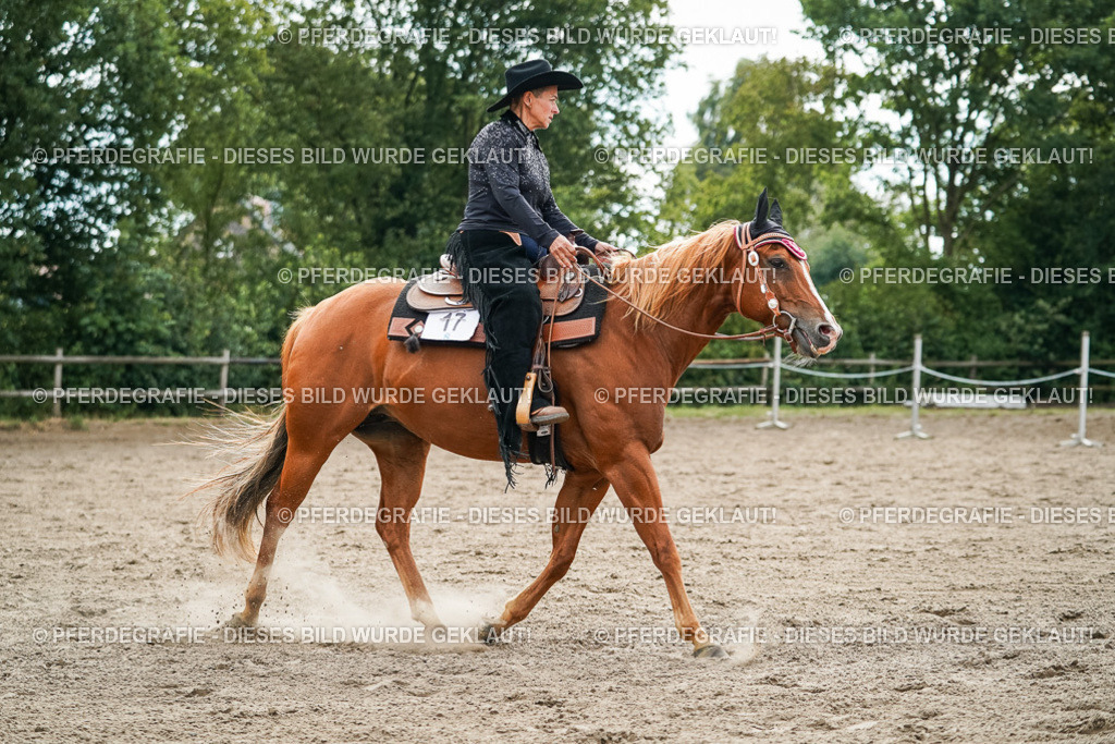 DSC03683 | Pferdegrafie