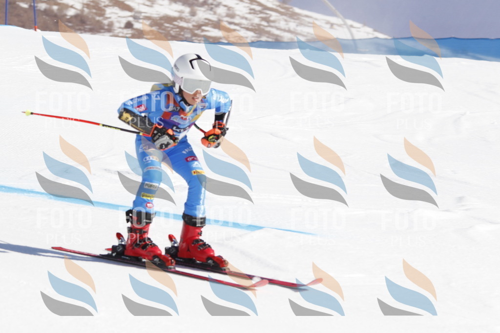 _U3G8637 | holidayphoto