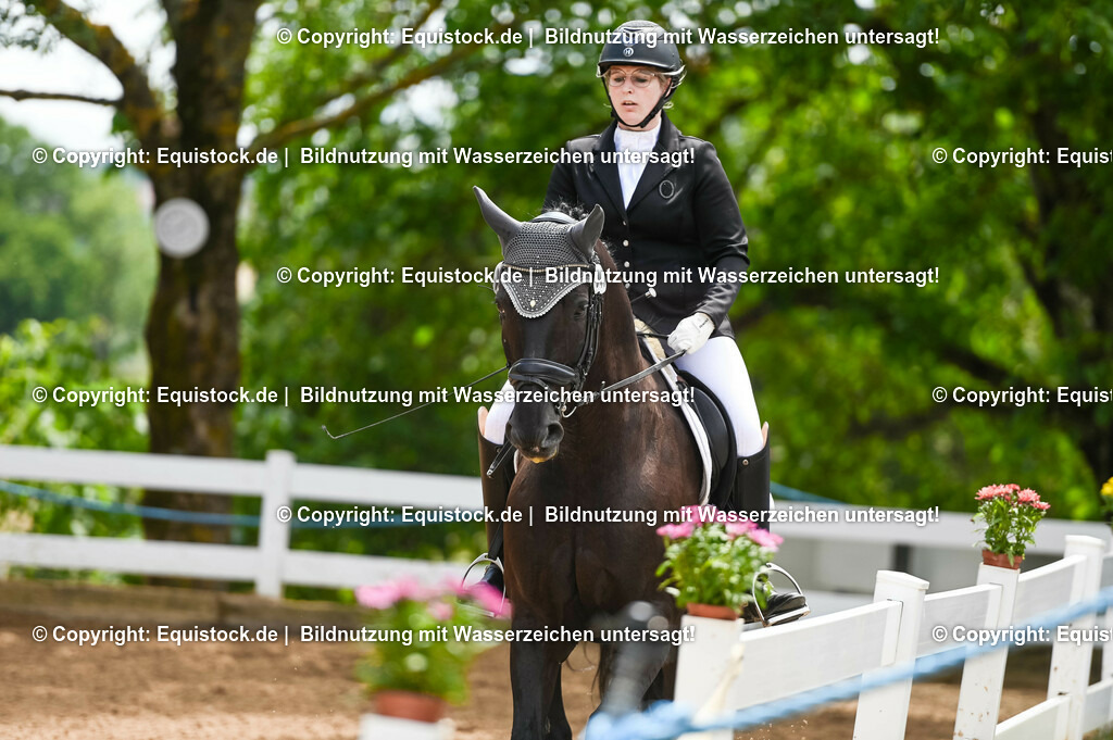 20230716_03_Dressurprfg. Kl.L - Tr._0196 | equistock