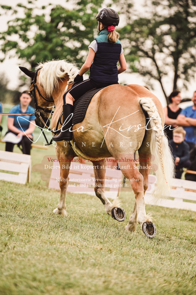 DSC_5310 | Pferde- und Turnierfotografie in Westsachsen. Pferdeportraits, Auftragszeichnungen und intuitive Kunst.