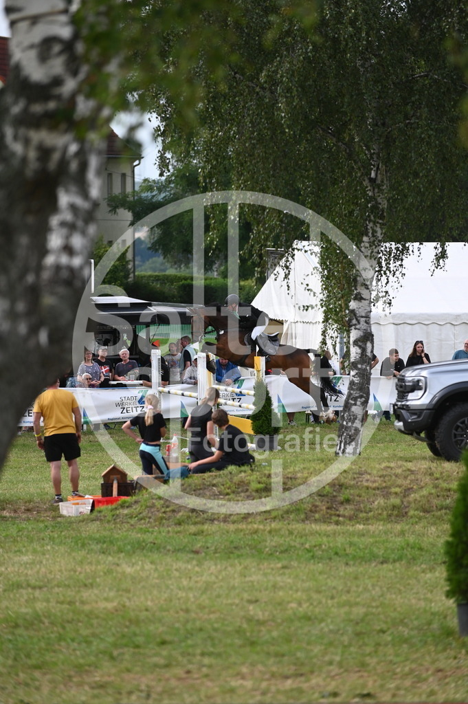 DSC_3076 | sattelsport - Realisiert mit Pictrs.com