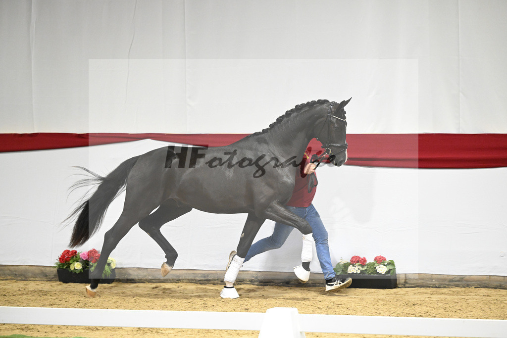 Kat-Nr. 19 v. Escamillo_Dalsem_63220368 | hf-fotografie - Realizzato con Pictrs.com