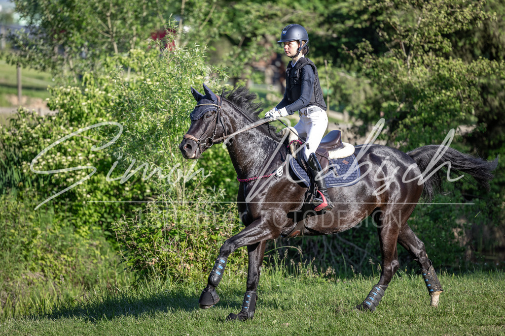 20260523-_3LI5904 | Tierfotografie Pferde, Hunde, Katzen, Haustiere.
Turnierfotografie Reitturniere, Reiten, Springreiten, Dressur in Hanau, dem Main-Kinzig-Kreis und dem Rhein-Main- Gebiet um Frankfurt