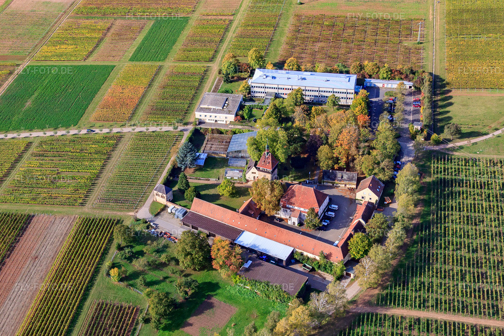 Luftbild: BFA-Geilweilerhof (Rebforschungsanstalt) JKI Institut in Siebeldingen im Bundesland Rheinland-Pfalz in Deutschland. Foto: IMG_22297.jpg vom 15.10.2009 durch Werner Riehm/FLY-FOTO.de