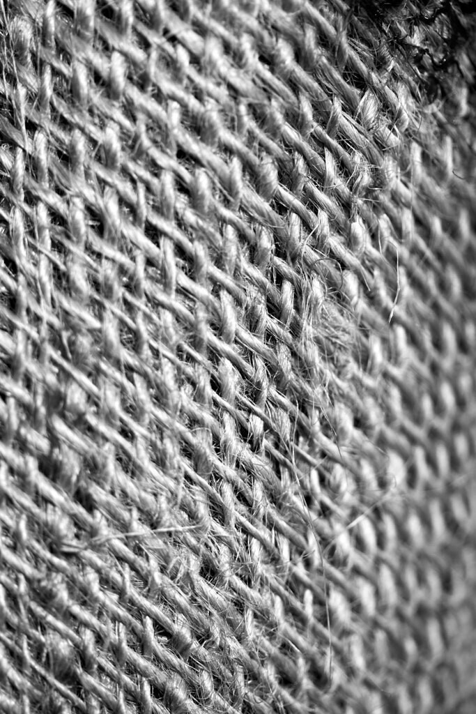 Gewebe | Ich erzähle Geschichten als Autor und als Fotograf. Hier finden Sie hochwertige Naturfotografie, Reisefotografien und Bilder aus dem urbanen Lebensraum.  - Realisiert mit Pictrs.com