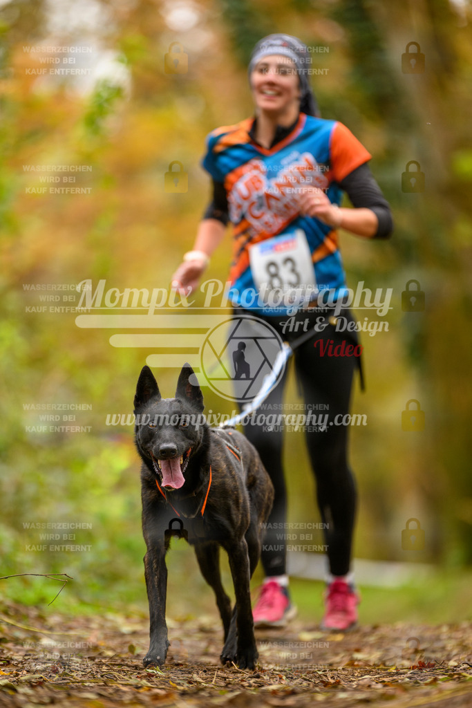 MompixPhotography_Bischwiller24_SA_Canicross-154 | PayLife