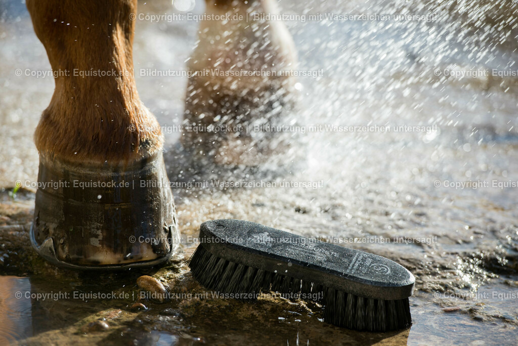 20150414_B__rsten_0006 | equistock