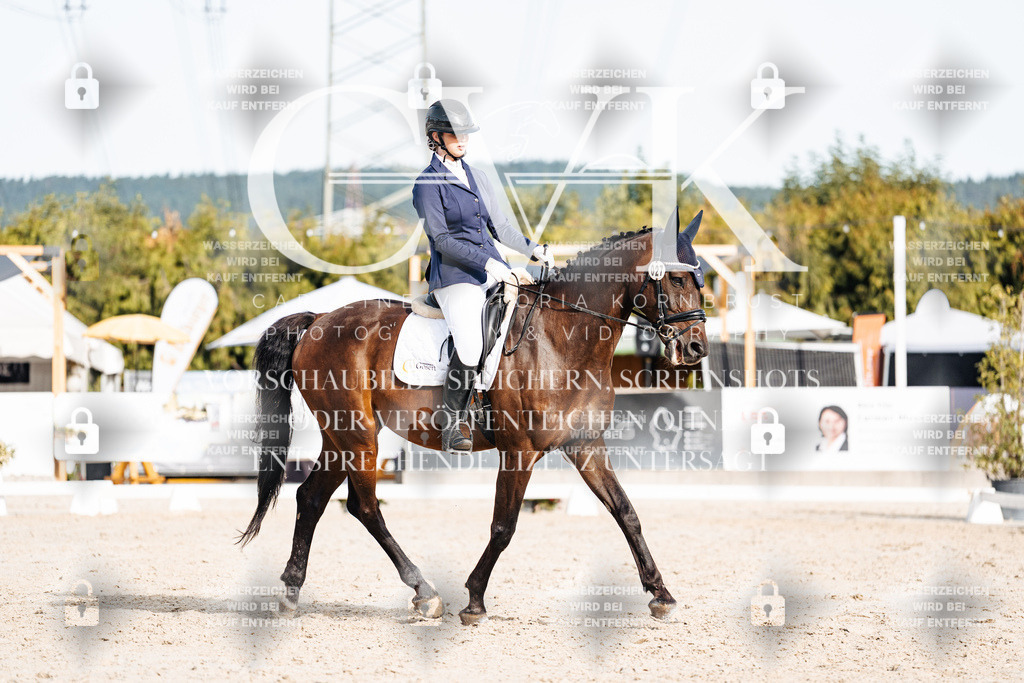 CK905034 | Turnierfotografie Pferdefotografie Trier Rheinland-Pfalz Pferdesport Reitsport Tierfotografie Sportfotografie Pferdevideo Pferdevideografie Equestrianvideography equestrianphotography  - Realisiert mit Pictrs.com