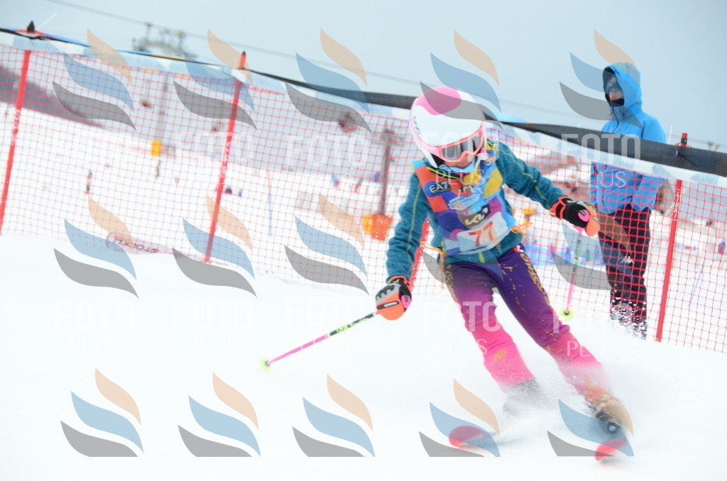 DSC_1102 | holidayphoto