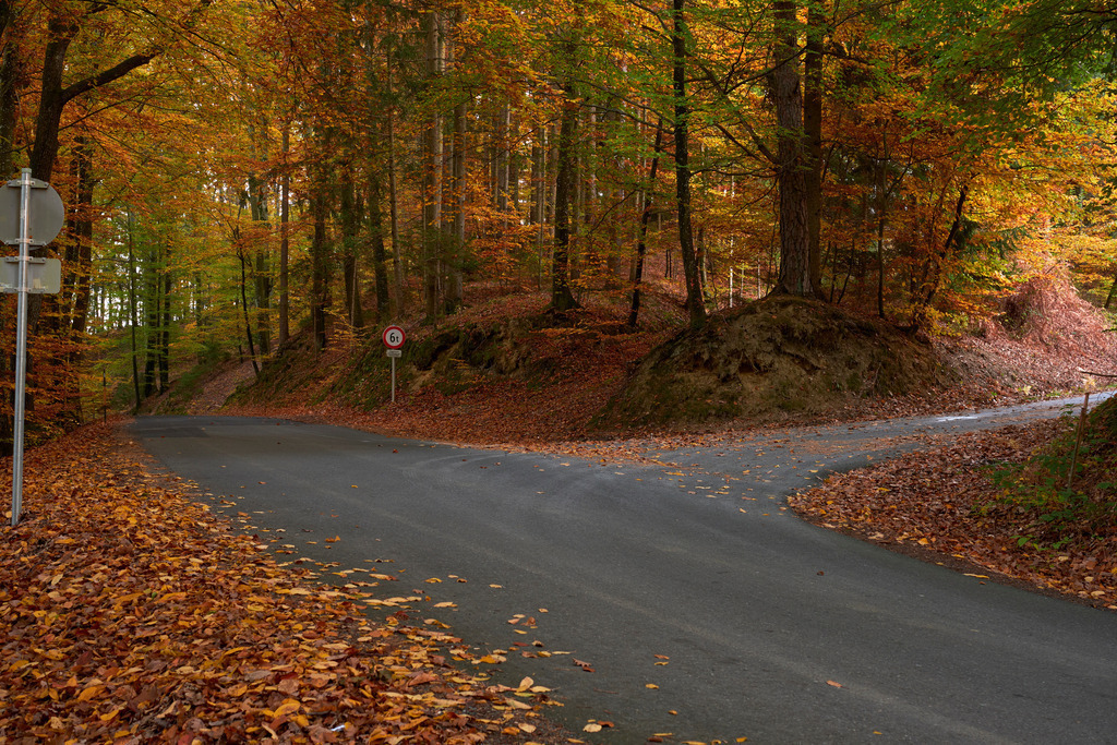 Strasse durch einen bunten Herbstwald | Austria - October 31, 2021: Strasse mit Abzweigung durch einen bunten Herbstwald. - Realisiert mit Pictrs.com
