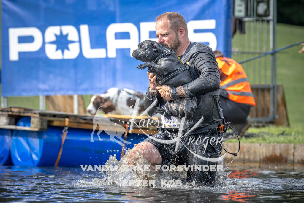 0837_ZZ99783 | kk-dogfotos