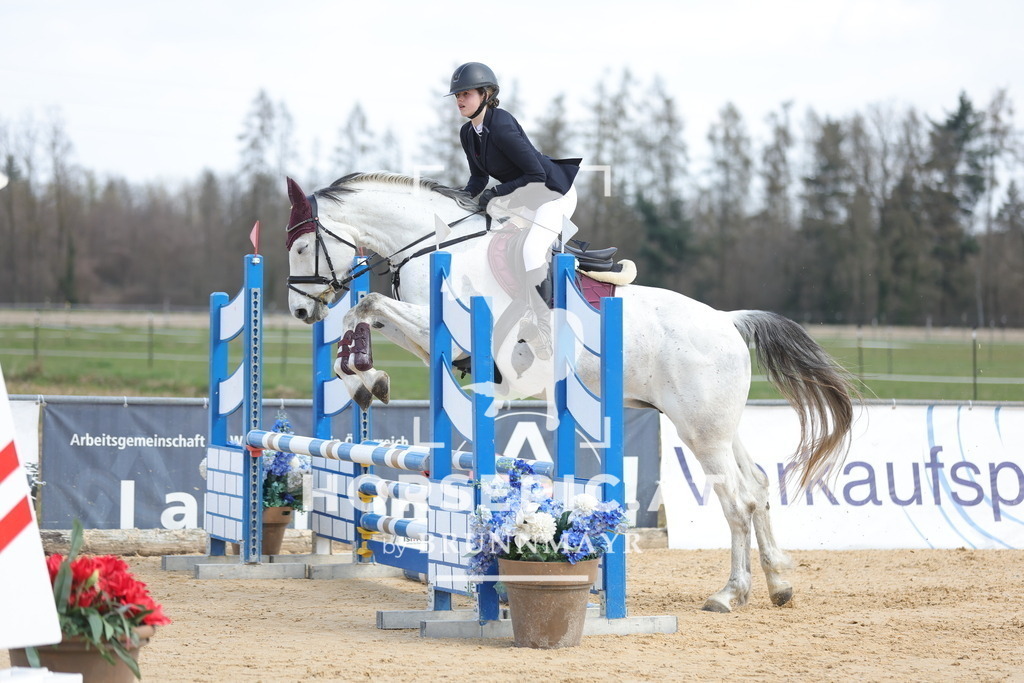 0P6A7434 | Willkommen bei Brunnmayr - Design & Fotografie – Ihrem Spezialisten für Reitturniere und Pferdeveranstaltungen in Oberösterreich, Salzburg und Bayern! Seit über 17 Jahren sind wir leidenschaftlich dabei.