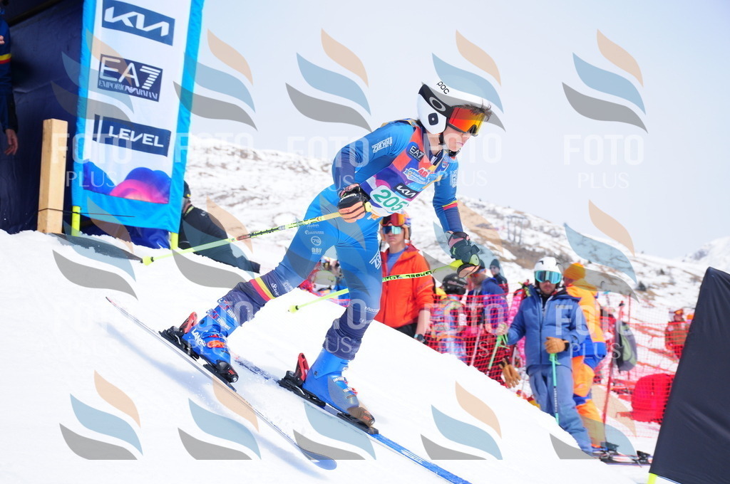 DSC_1844 | holidayphoto