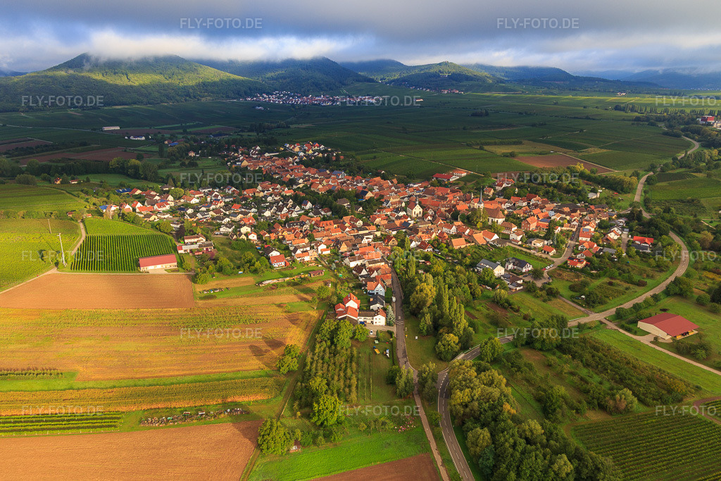 Luftbild: Dorfansicht am Kaiserbach aus Südwesten in Göcklingen im Bundesland Rheinland-Pfalz in Deutschland. Foto: IMG_103307.jpg vom 10.09.2017 durch Werner Riehm/FLY-FOTO.de