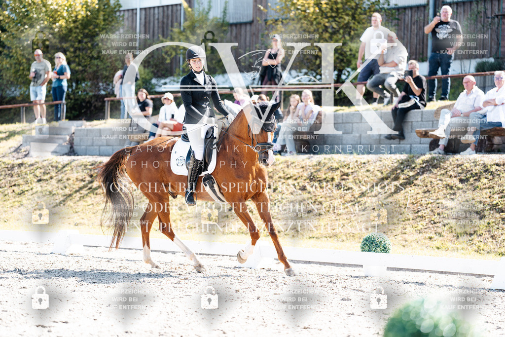 CK909558 | Turnierfotografie Pferdefotografie Trier Rheinland-Pfalz Pferdesport Reitsport Tierfotografie Sportfotografie Pferdevideo Pferdevideografie Equestrianvideography equestrianphotography  - Realisiert mit Pictrs.com