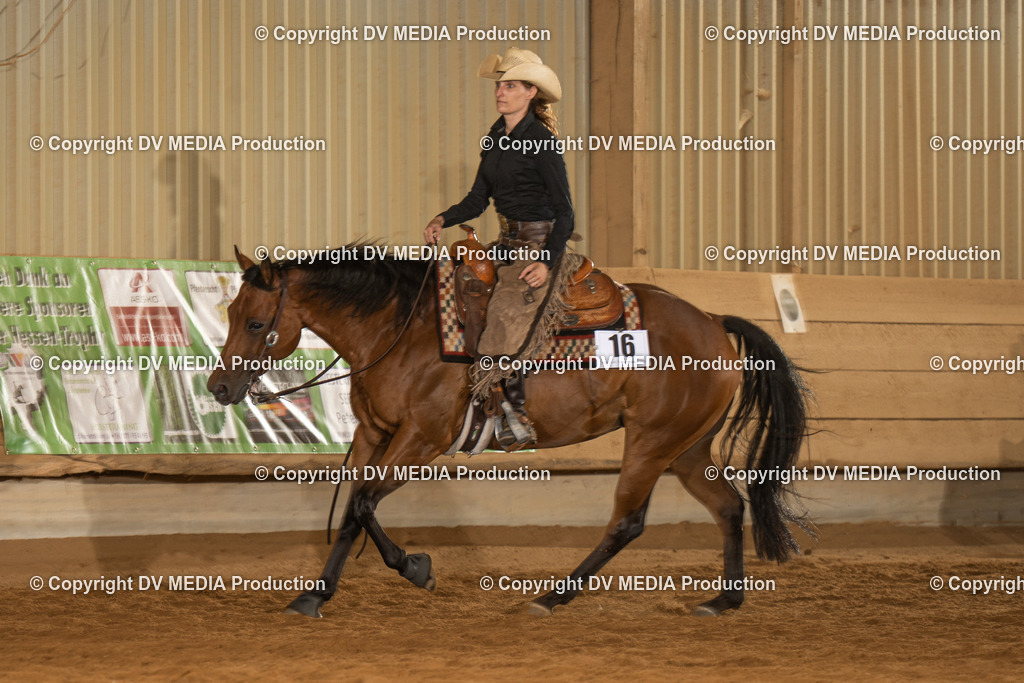 NID01462 | dv-media-shop - Realisiert mit Pictrs.com