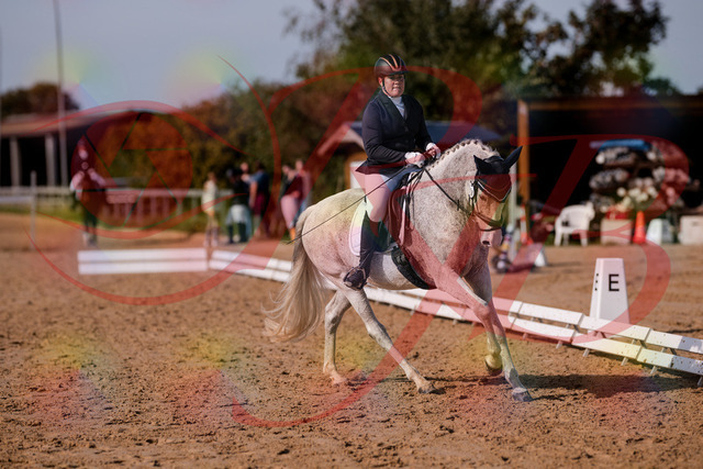 2026_10_03_Siefer-Hof_123143_Z81_30545195 | Professionelle Reitsport-, Turnier- und Eventfotografie von Robert Broda. Galerien mit ausgewählten und bearbeiteten Bildern direkt online ansehen und bestellen.