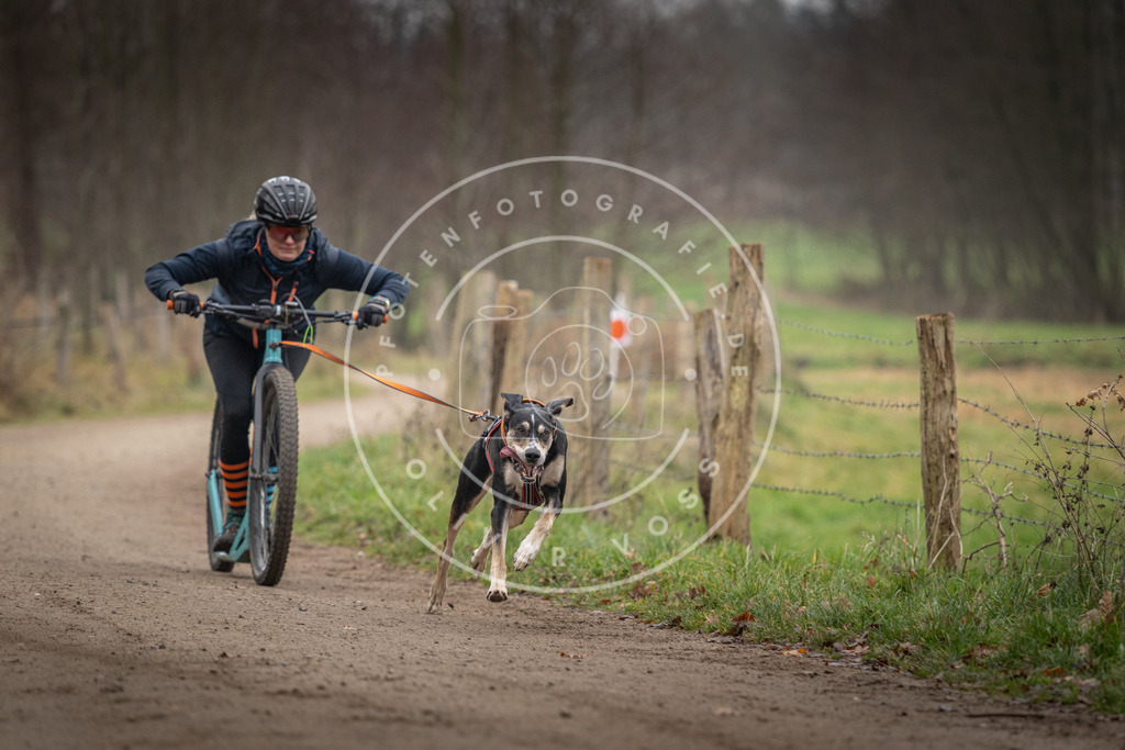 Pfotenfotografie_DV3A2387 | Hundefotografie, Tierfotograf, Pfotenfotografie, Fotoshooting Hund, Hunde Portrait, Hundesport, Hundeportraits, Heideshooting, Hunde, Sportfotograf, Hundefotograf, Turnierhundsport, THS,  - Realisiert mit Pictrs.com