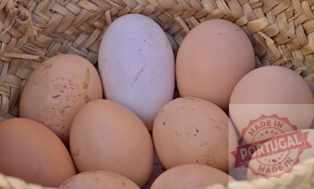 Farm fresh eggs in woven basket, including one white egg | Various farm fresh poultry eggs presented in a natural woven basket - Realized with Pictrs.com