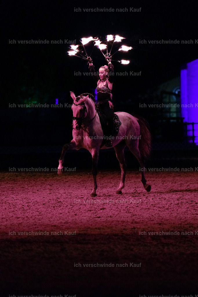 FHClassics-371 | working equitationturnier fotograf videograf stoibphotography marixx film working equitation deutschland reitsport turnierfotografie eventfotografie equestrian events
