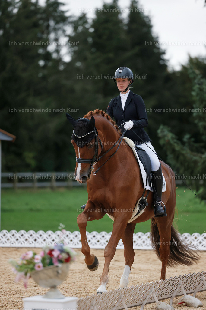 04_2-064-Dressur M__ -StoibPH-2992 | working equitationturnier fotograf videograf stoibphotography marixx film working equitation deutschland reitsport turnierfotografie eventfotografie equestrian events