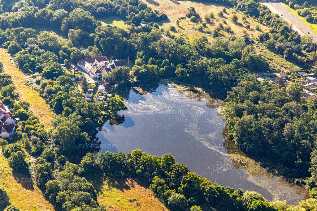 Weiher im Verlauf der Druslach | Luftbild: Weiher im Verlauf der Druslach in Lingenfeld im Bundesland Rheinland-Pfalz in Deutschland. Foto: IMG_142490.jpg vom 09.07.2024 durch Werner Riehm/FLY-FOTO.de - Realisiert mit Pictrs.com