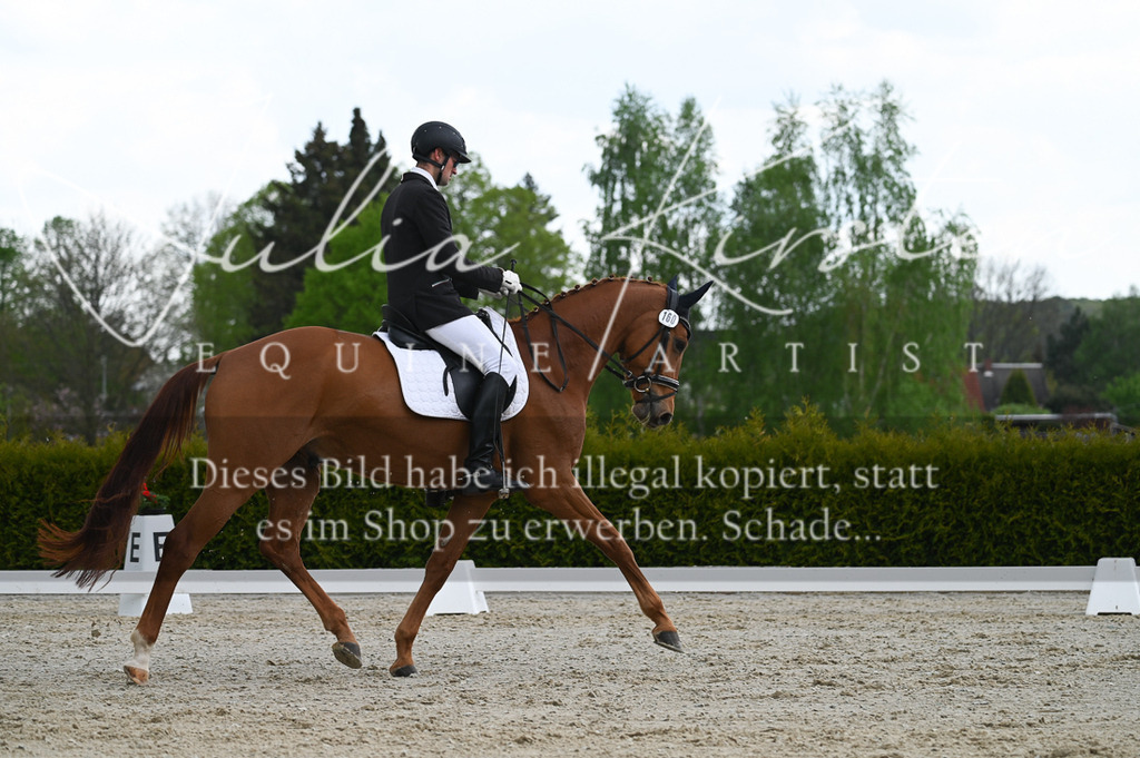 20230512_JK-Röhrsdorf-03-028 | Pferde- und Turnierfotografie in Westsachsen. Pferdeportraits, Auftragszeichnungen und intuitive Kunst.