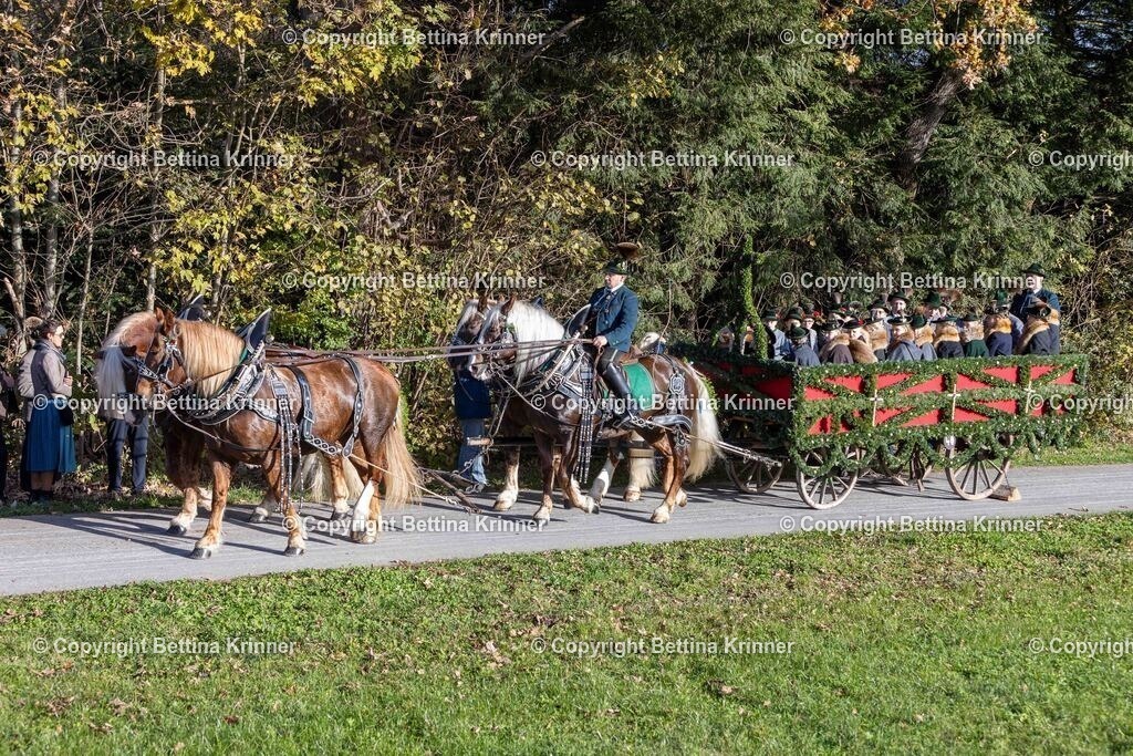 LBT24-154 | foto-bettina-krinner - Realisiert mit Pictrs.com