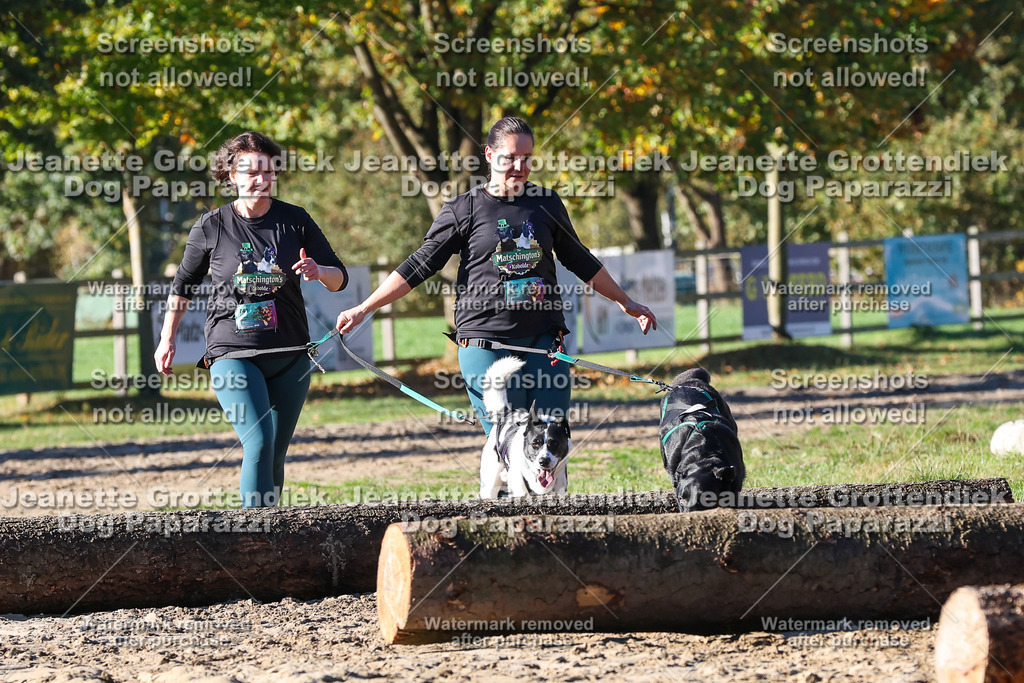 Dog Paparazzi - Strongdog 10-25-1730 | Dog Paparazzi Jeanette Grottendiek Fotografie & Videografie - Realisiert mit Pictrs.com