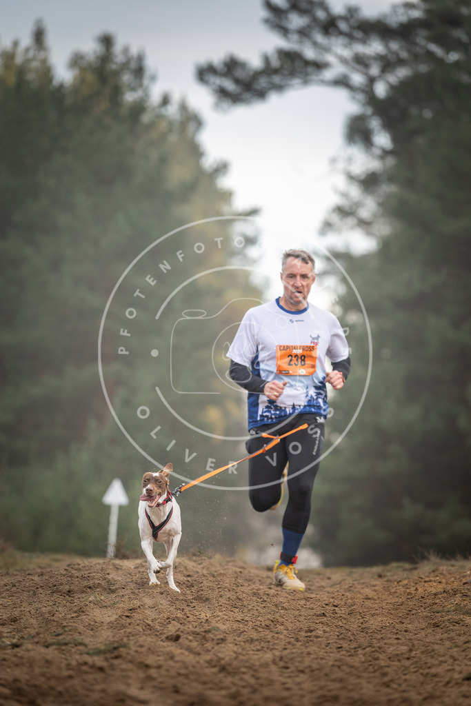 Pfotenfotografie_DV3A5636 | Hundefotografie, Tierfotograf, Pfotenfotografie, Fotoshooting Hund, Hunde Portrait, Hundesport, Hundeportraits, Heideshooting, Hunde, Sportfotograf, Hundefotograf, Turnierhundsport, THS,  - Realisiert mit Pictrs.com