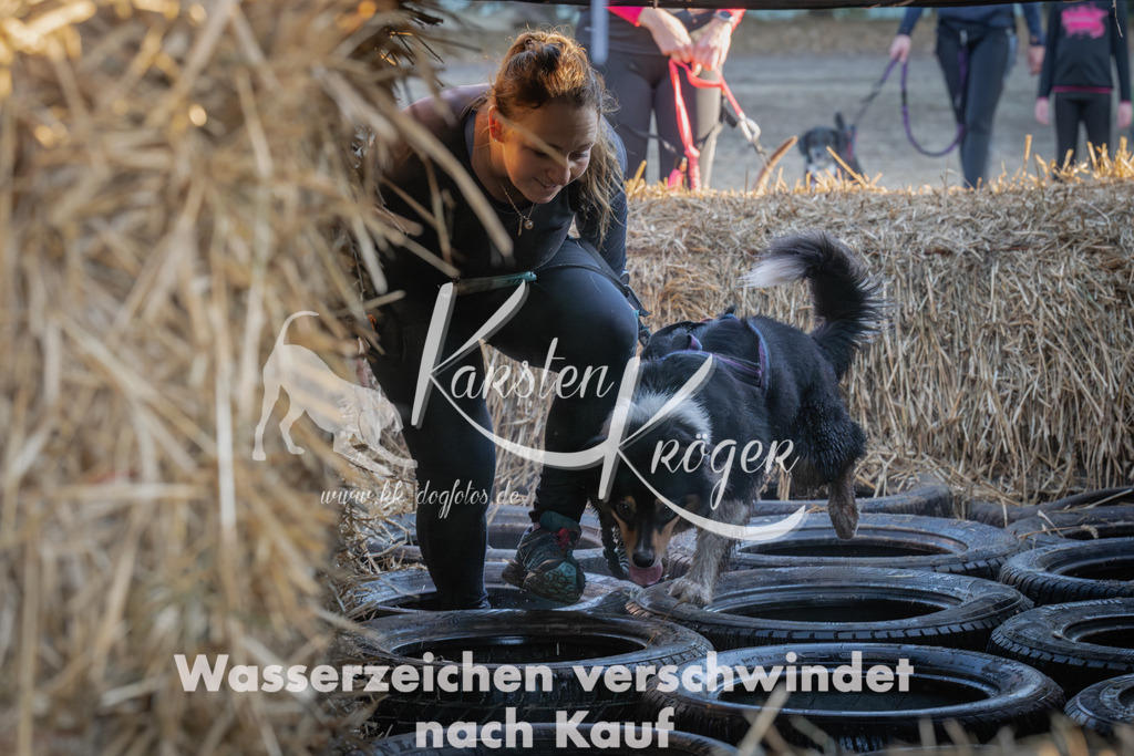 0907_ZZ91466-Verbessert-RR | kk-dogfotos