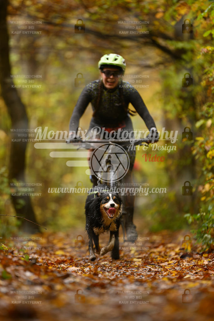 MompixPhotography_CD7S_DI_Bike-15 | mompixphotography