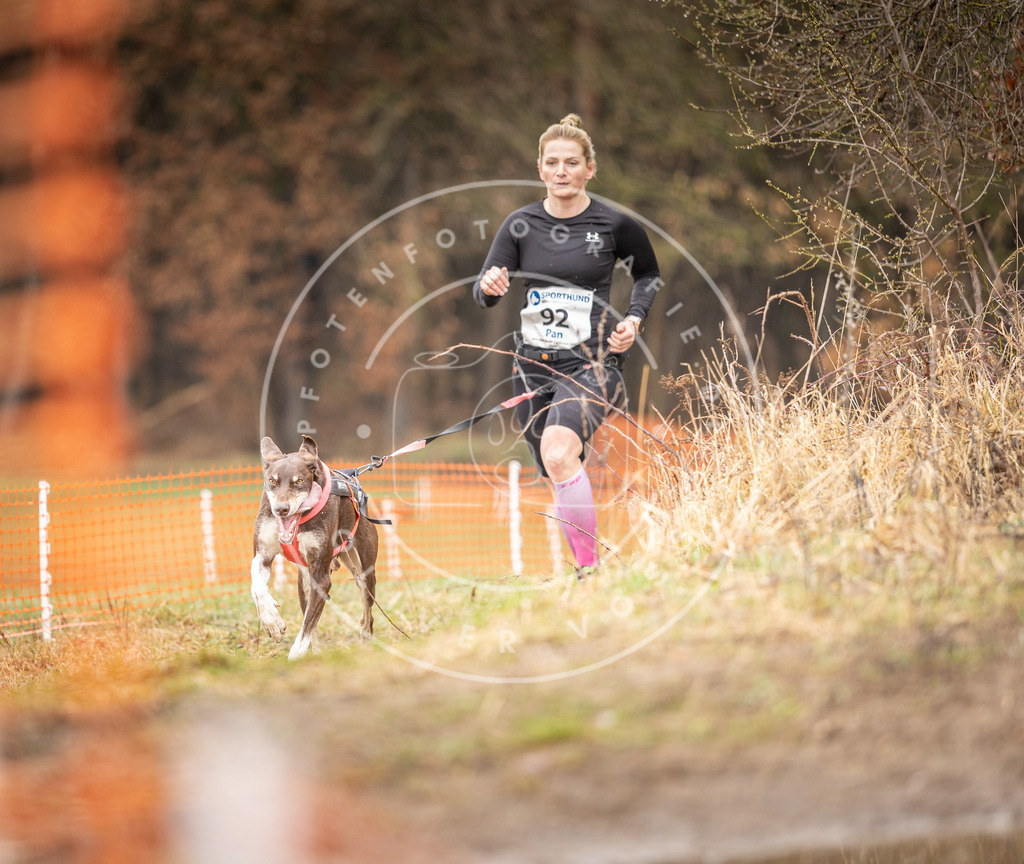 DV3A0413 | Hundefotografie, Tierfotograf, Pfotenfotografie, Fotoshooting Hund, Hunde Portrait, Hundesport, Hundeportraits, Heideshooting, Hunde, Sportfotograf, Hundefotograf, Turnierhundsport, THS,  - Realisiert mit Pictrs.com