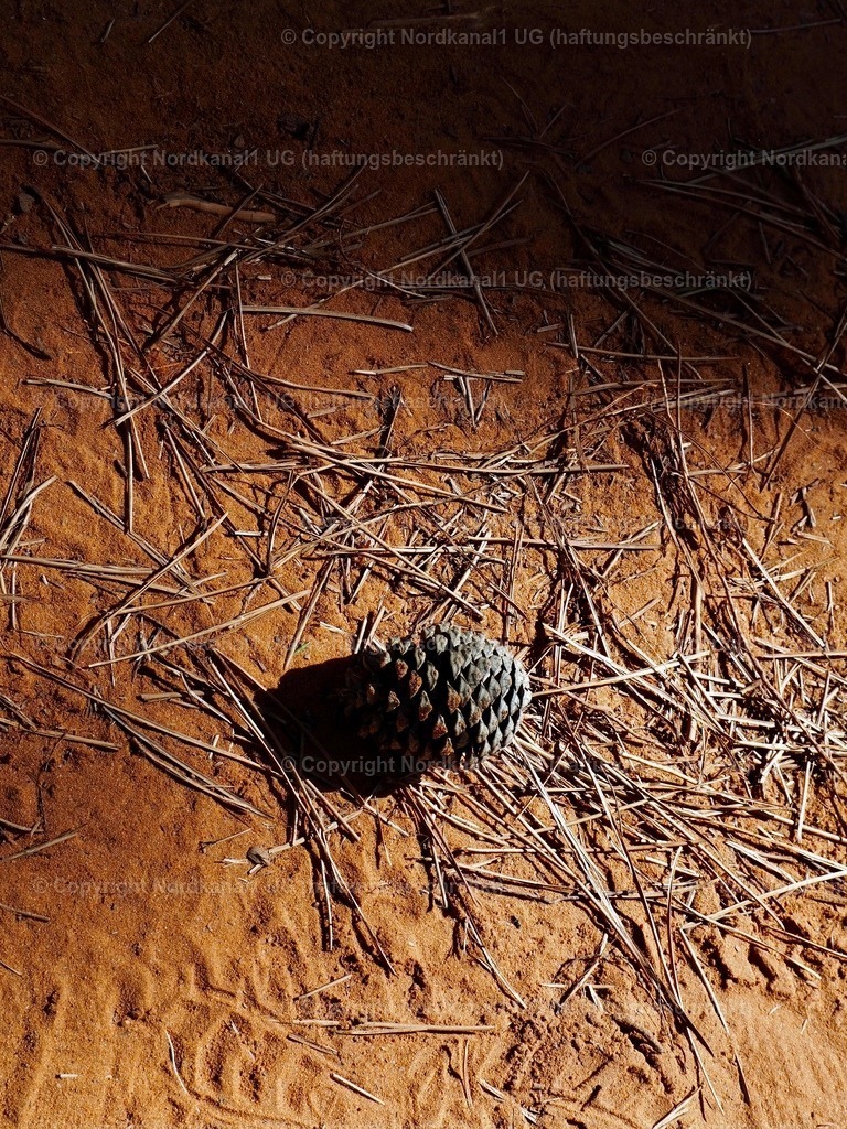 IMG_2940 | OLYMPUS DIGITAL CAMERA          - Realisiert mit Pictrs.com