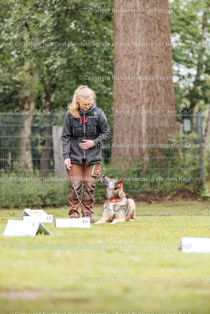 RO-Blumenthal-2026-Nickbest-Hundefotografie-4976 | Dein Hund! Dein Moment! Deine Erinnerungen! Hundefotografie in Bremen Blumenthal. Ich fange die besonderen Momente deines Vierbeiners ein – ob Indoor mit Blitzanlage oder in der freien Natur. Sicher dir dein Moment und dein Termin für eure Erinnerungen.