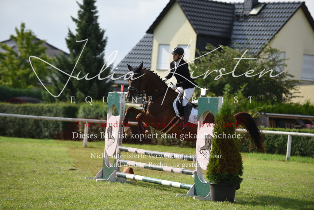 DSC_8780 | Pferde- und Turnierfotografie in Westsachsen. Pferdeportraits, Auftragszeichnungen und intuitive Kunst.