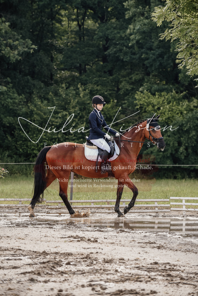 DSC_8415 | Pferde- und Turnierfotografie in Westsachsen. Pferdeportraits, Auftragszeichnungen und intuitive Kunst.