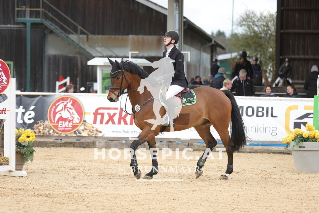 0P6A3177 | Willkommen bei Brunnmayr - Design & Fotografie – Ihrem Spezialisten für Reitturniere und Pferdeveranstaltungen in Oberösterreich, Salzburg und Bayern! Seit über 17 Jahren sind wir leidenschaftlich dabei.