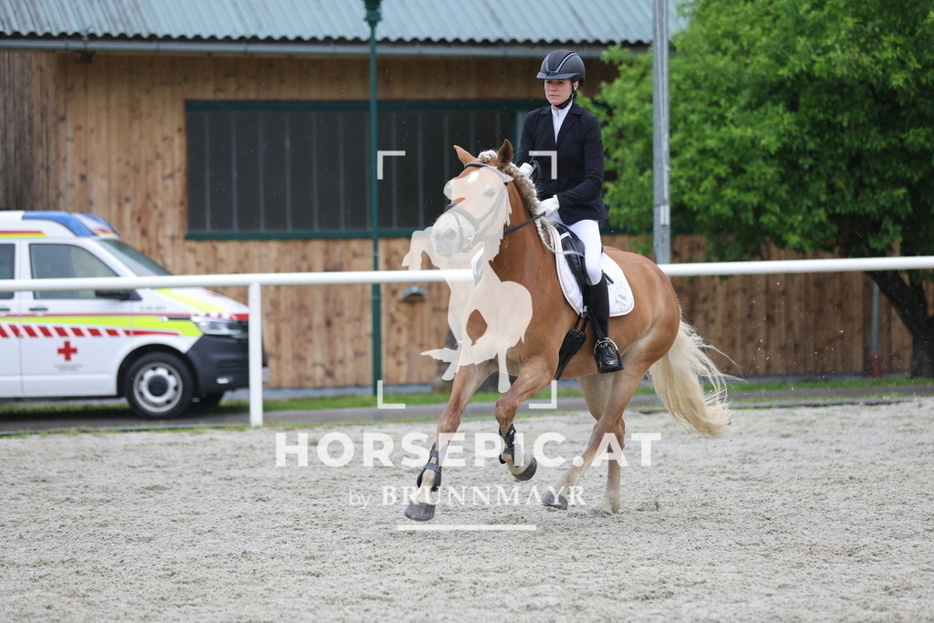 0P6A7959 | Willkommen bei Brunnmayr - Design & Fotografie – Ihrem Spezialisten für Reitturniere und Pferdeveranstaltungen in Oberösterreich, Salzburg und Bayern! Seit über 17 Jahren sind wir leidenschaftlich dabei.