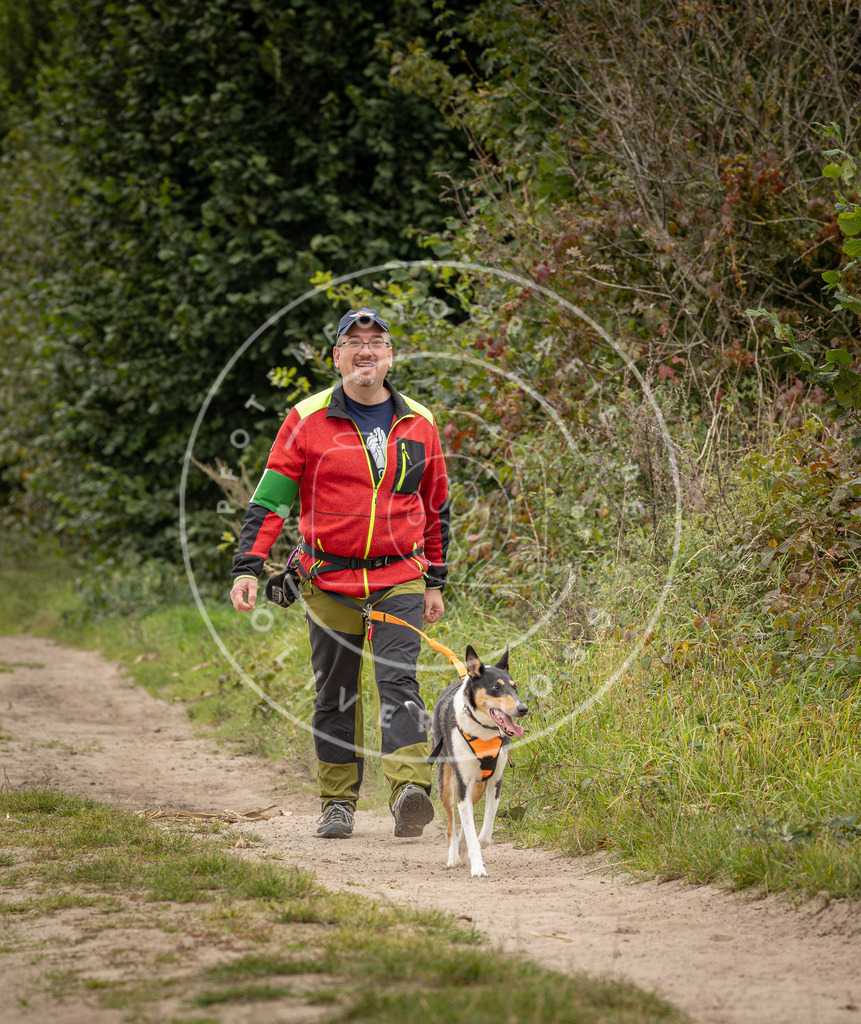 Pfotenfotografie_DV3A8164 | Hundefotografie, Tierfotograf, Pfotenfotografie, Fotoshooting Hund, Hunde Portrait, Hundesport, Hundeportraits, Heideshooting, Hunde, Sportfotograf, Hundefotograf, Turnierhundsport, THS,  - Realisiert mit Pictrs.com