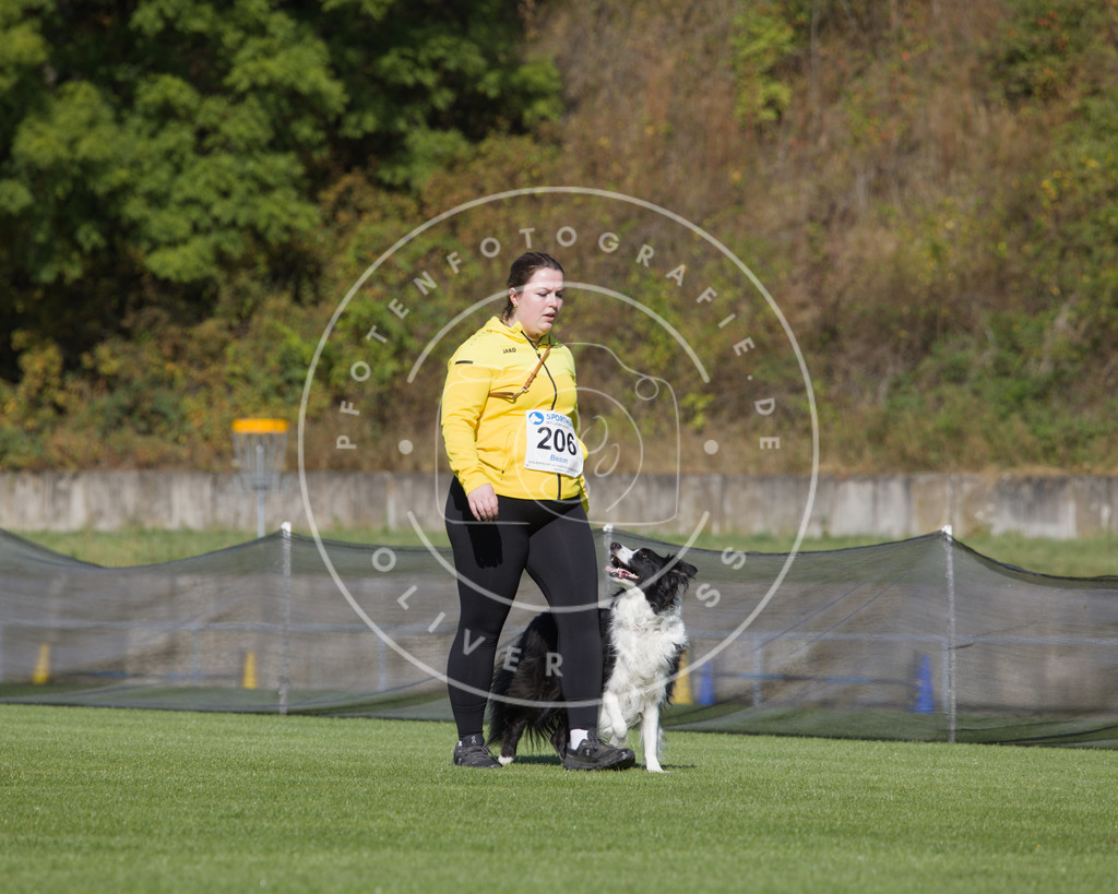 0L8A2365 | Hundefotografie, Tierfotograf, Pfotenfotografie, Fotoshooting Hund, Hunde Portrait, Hundesport, Hundeportraits, Heideshooting, Hunde, Sportfotograf, Hundefotograf, Turnierhundsport, THS,  - Realisiert mit Pictrs.com